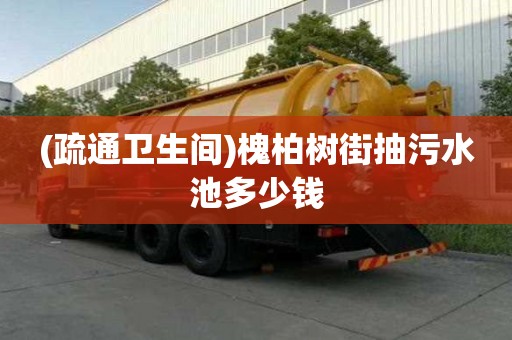 (疏通衛生間)槐柏樹街抽污水池多少錢
