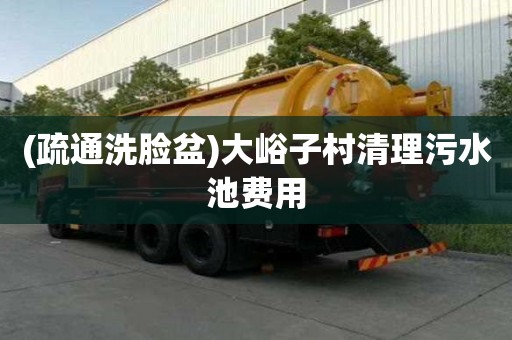 (疏通洗臉盆)大峪子村清理污水池費用