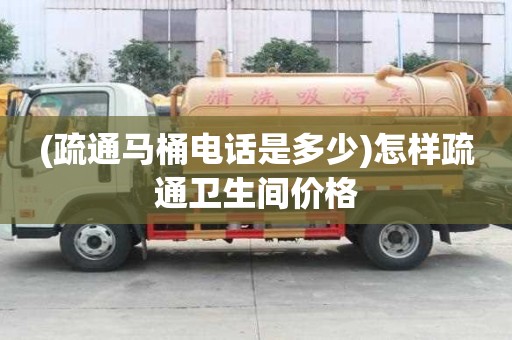 (疏通馬桶電話是多少)怎樣疏通衛生間價格