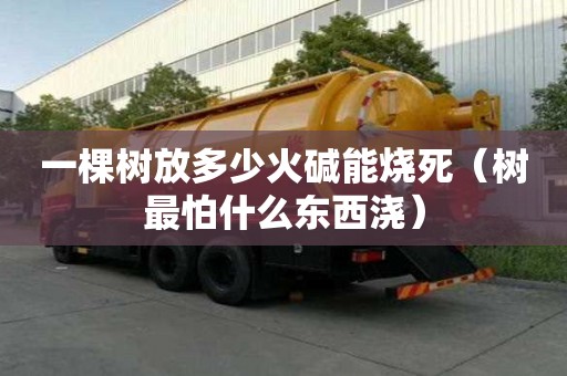 一棵樹放多少火堿能燒死（樹最怕什么東西澆）