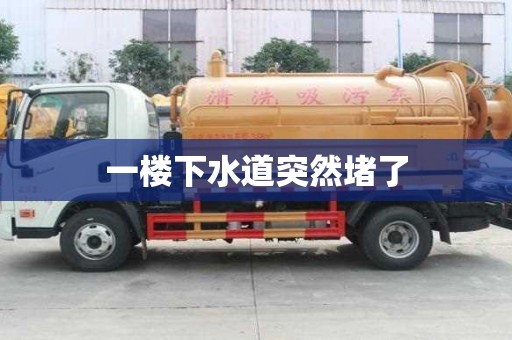 一樓下水道突然堵了