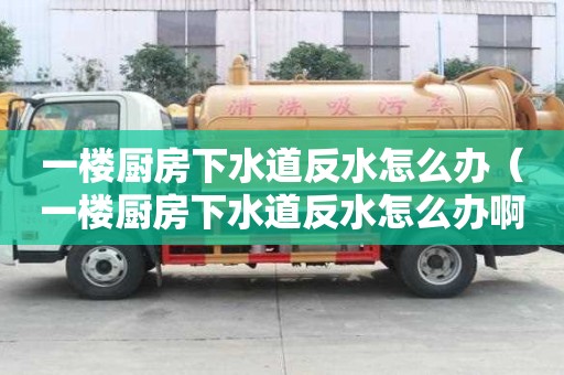 一樓廚房下水道反水怎么辦（一樓廚房下水道反水怎么辦啊）