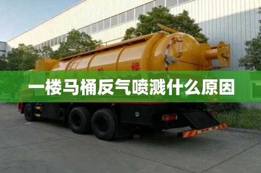 一樓馬桶反氣噴濺什么原因 一樓馬桶反氣噴濺什么原因