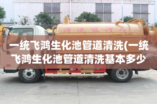 一統(tǒng)飛鴻生化池管道清洗(一統(tǒng)飛鴻生化池管道清洗基本多少錢)