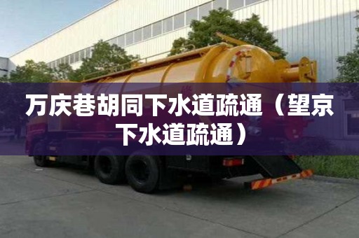 萬慶巷胡同下水道疏通（望京下水道疏通）