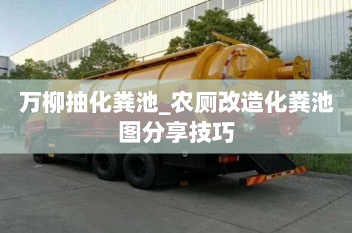 萬(wàn)柳抽化糞池_農(nóng)廁改造化糞池圖分享技巧
