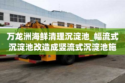 萬龍洲海鮮清理沉淀池_幅流式沉淀池改造成豎流式沉淀池施工流程