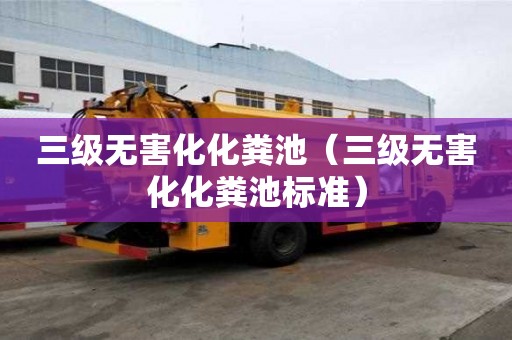 三級無害化化糞池（三級無害化化糞池標準）