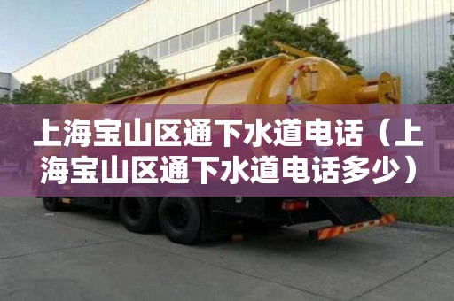 上海寶山區(qū)通下水道電話（上海寶山區(qū)通下水道電話多少）