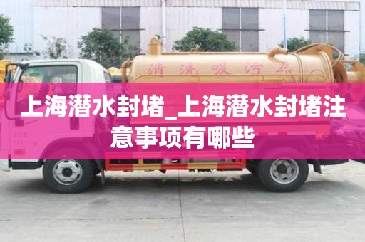 上海潛水封堵_上海潛水封堵注意事項(xiàng)有哪些
