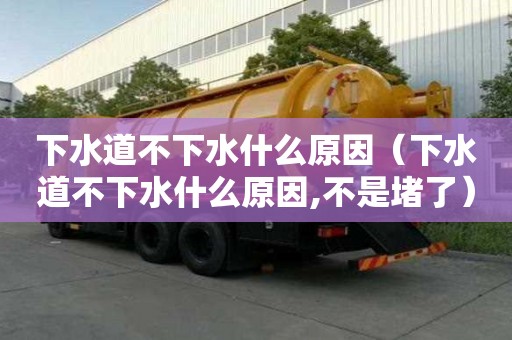 下水道不下水什么原因（下水道不下水什么原因,不是堵了）