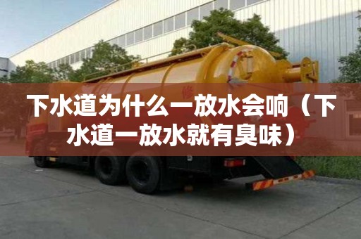 下水道為什么一放水會響（下水道一放水就有臭味）