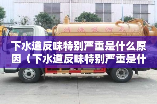 下水道反味特別嚴重是什么原因（下水道反味特別嚴重是什么原因造成的）