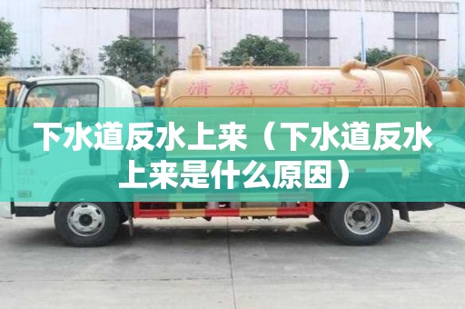 下水道反水上來(下水道反水上來是什么原因) 下水道反水上來(下水道反水上來是什么原因)