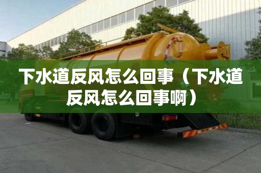 下水道反風怎么回事（下水道反風怎么回事啊）