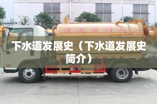 下水道發展史（下水道發展史簡介）