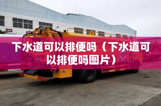下水道可以排便嗎（下水道可以排便嗎圖片）