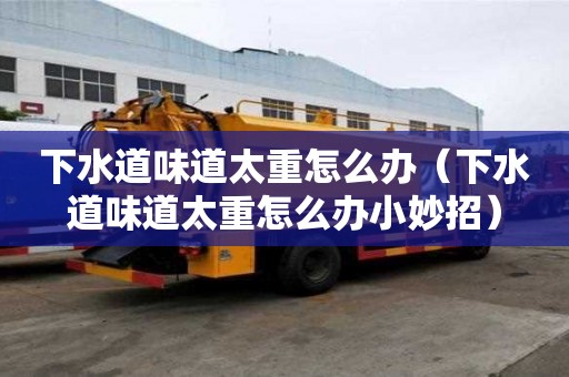 下水道味道太重怎么辦（下水道味道太重怎么辦小妙招）