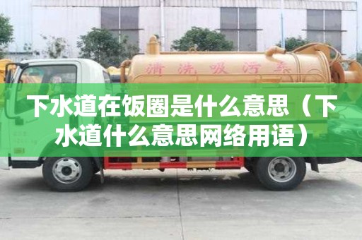 下水道在飯圈是什么意思（下水道什么意思網絡用語）