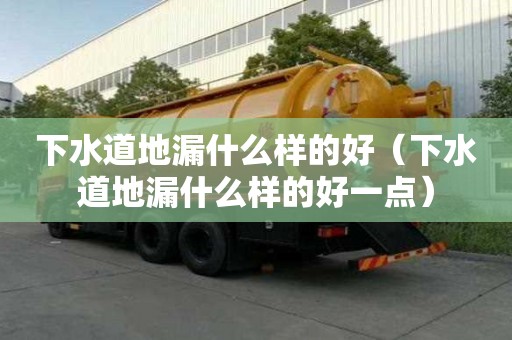 下水道地漏什么樣的好（下水道地漏什么樣的好一點）
