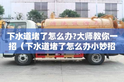 下水道堵了怎么辦?大師教你一招（下水道堵了怎么辦小妙招）