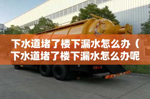 下水道堵了樓下漏水怎么辦(下水道堵了樓下漏水怎么辦呢) 下水道堵了樓下漏水怎么辦(下水道堵了樓下漏水怎么辦呢)