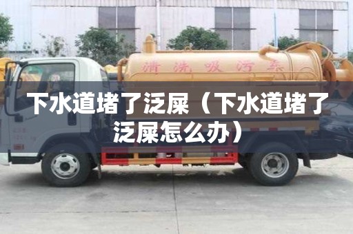 下水道堵了泛屎（下水道堵了泛屎怎么辦）