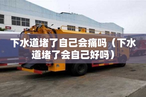 下水道堵了自己會(huì)痛嗎（下水道堵了會(huì)自己好嗎）