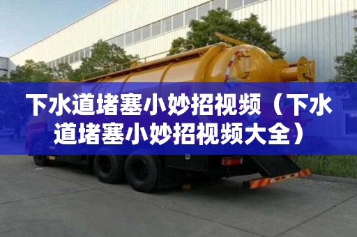 下水道堵塞小妙招視頻（下水道堵塞小妙招視頻大全）
