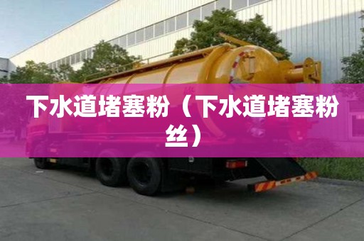 下水道堵塞粉（下水道堵塞粉絲）
