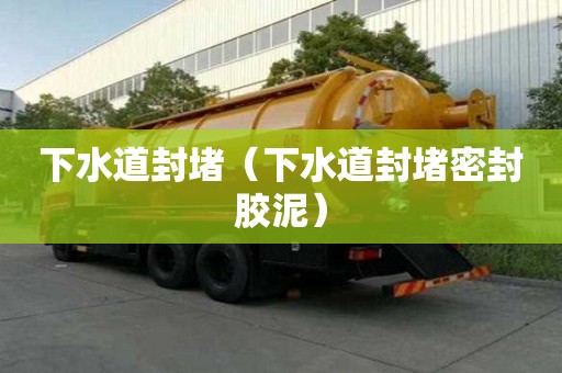 下水道封堵（下水道封堵密封膠泥）