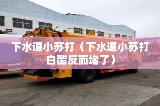 下水道小蘇打（下水道小蘇打白醋反而堵了）