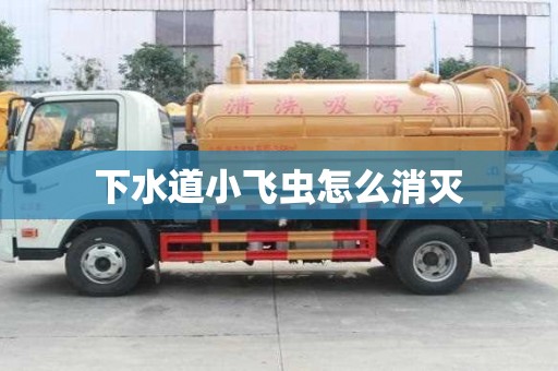 下水道小飛蟲怎么消滅