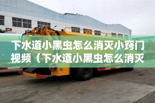 下水道小黑蟲怎么消滅小竅門視頻（下水道小黑蟲怎么消滅小竅門視頻）