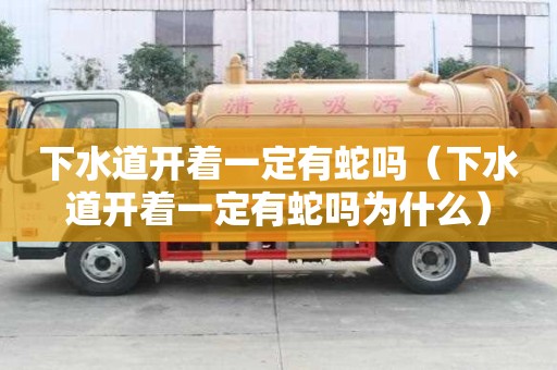 下水道開著一定有蛇嗎（下水道開著一定有蛇嗎為什么）