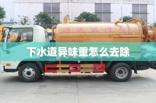下水道異味重怎么去除