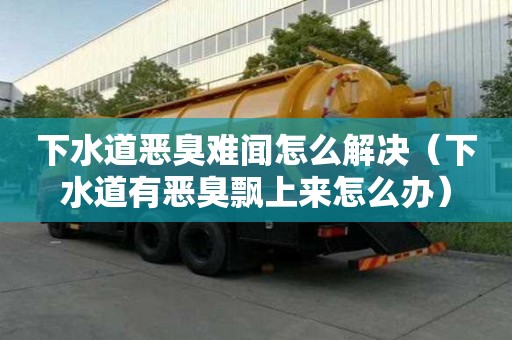 下水道惡臭難聞怎么解決（下水道有惡臭飄上來怎么辦）