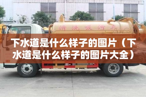 下水道是什么樣子的圖片（下水道是什么樣子的圖片大全）