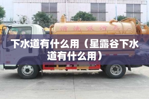下水道有什么用（星露谷下水道有什么用）