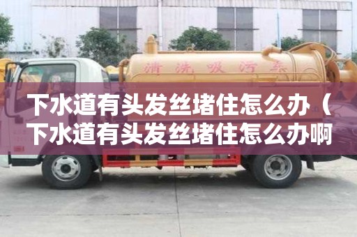 下水道有頭發(fā)絲堵住怎么辦（下水道有頭發(fā)絲堵住怎么辦啊）