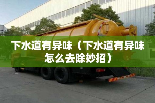 下水道有異味（下水道有異味怎么去除妙招）