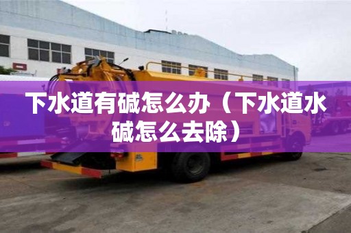 下水道有堿怎么辦（下水道水堿怎么去除）