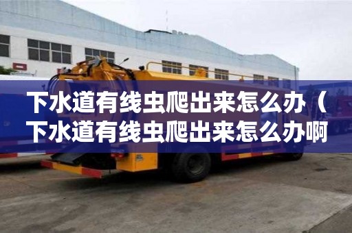 下水道有線蟲爬出來(lái)怎么辦（下水道有線蟲爬出來(lái)怎么辦啊）