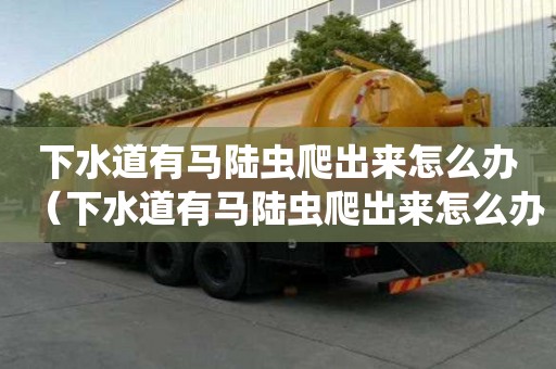 下水道有馬陸蟲爬出來怎么辦（下水道有馬陸蟲爬出來怎么辦啊）