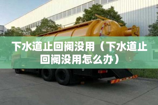 下水道止回閥沒用（下水道止回閥沒用怎么辦）