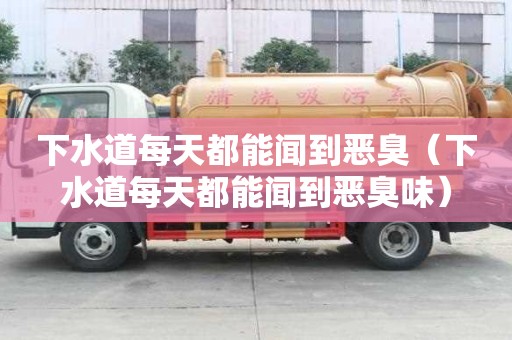 下水道每天都能聞到惡臭（下水道每天都能聞到惡臭味）