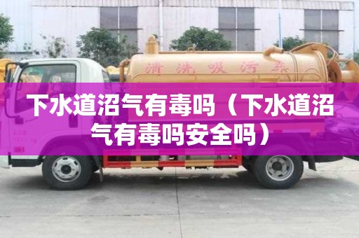 下水道沼氣有毒嗎（下水道沼氣有毒嗎安全嗎）