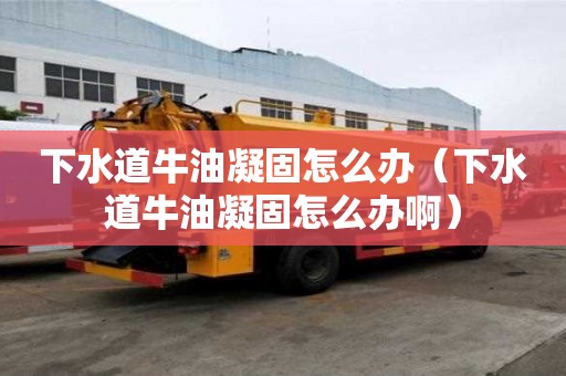 下水道牛油凝固怎么辦（下水道牛油凝固怎么辦啊）