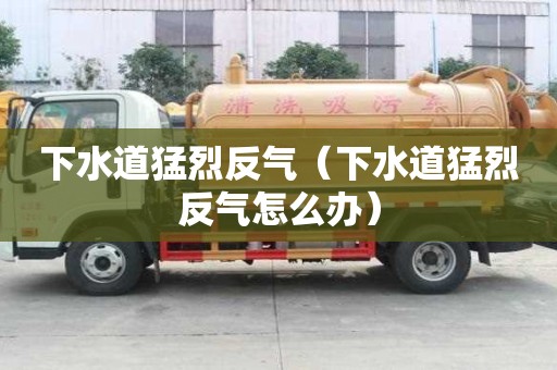 下水道猛烈反氣(下水道猛烈反氣怎么辦) 下水道猛烈反氣(下水道猛烈反氣怎么辦)