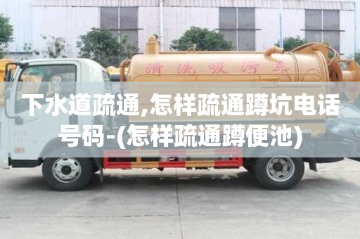 下水道疏通,怎樣疏通蹲坑電話號碼-(怎樣疏通蹲便池)